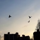 공원스크린골프 이미지