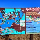 우포의 숲속 이미지