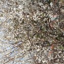 자주 인용될 명품민주백서 4.4 판결문.. 이미지