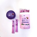 다도해헬스 | 프로바이오틱스유산균 헬스앤팜 꾸찌뽕 유산균