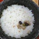 김가네돌솥생선구이 고등어구이 코다리조림시식후기... 내유동맛집으로인정합니다...