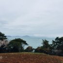 아로니아민박 이미지