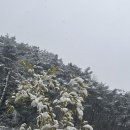 담양 리사 숲속마을 이미지