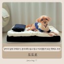 가도세탁 | 도도로 강아지 침대 구매후기, 분리세탁 쉽고 방수·미끄럼방지 되는 펫베드 추천