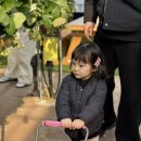 킴스베리 이미지