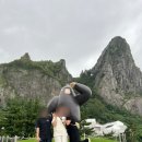 놀이터분식카페