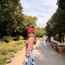 돌집민박 | 제주도 숙박 독채민박 돌집달문 후기 : 무료 조식, 족욕