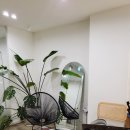 벽산목장 | 마산 중앙동 카페 '비더테이블' 마산디저트카페