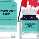 에이치비엘 이미지