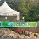 신일사 이미지