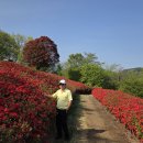 옥     정 이미지