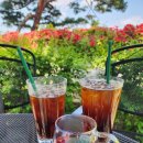 중앙대학교사범대학부속중학교 이미지