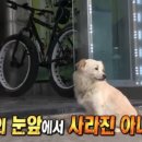 현수농장 이미지