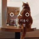 고양이미용사 임서영 이미지