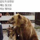 월드밸리 이미지