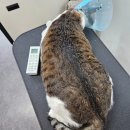 고남슈퍼 이미지