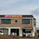 해미 | 서산 해미읍성 실시간 벚꽃 개화 상황 &amp; 필수 코스 해미호떡 솔직 후기