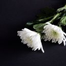 서울시립동부병원 이미지