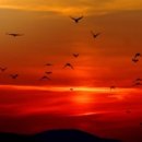 골든타임주유소 이미지