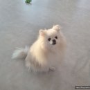 멍친카페