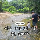 (주)맑은물에 | [용인] 어른도 아이도 모두 만족했던 용인 묵리계곡 7월 방문후기, 물깊이 등