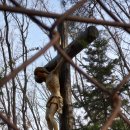 오전동 약수터 이미지