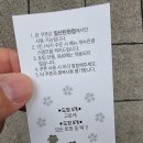 아비꼬일산탄현