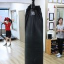 엑투 복싱 이미지