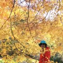 노고단-16 이미지