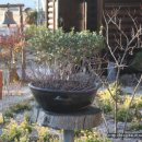 향기고운 이미지