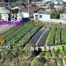 이리신흥초등학교 이미지