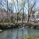 황지연못 이미지