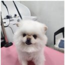 오늘도 예쁘개 이미지