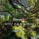 녹색나라 | 대만 가오슝 타이난 가족여행 쓰차오 맹그로브 녹색 터널 이용후기