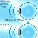 안경매니져 첨단산월점 이미지