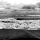 푸른체육관 이미지