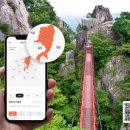 주정차단속-15 이미지