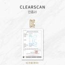 클리어 방역