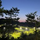 모나크cc 이미지