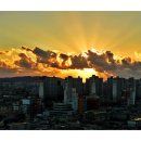 동운고가 이미지