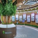 평화누리자전거길 6코스 이미지