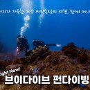 브이다이브