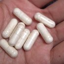 주식회사 웰통 | 스완슨 락토바실러스 가세리 후기 │ 유산균추천 프로바이오틱스 장유산균