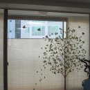 오토스크린 이미지