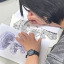 누구나 쉽게 펜드로잉 | 잠실 퇴근후 취미 : 펜화의 매력, 누구든지 할 수 있는 펜드로잉 클래스