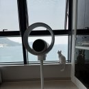 청정에너지 - 화성시 화성로 288 | 아기 있는 집 날개없는 선풍기 추천 :) 보아르 퓨어링 공기청정 선풍기 내돈내산 후기