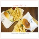 살모스231