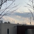 천마공원(풋살장) 이미지