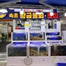 천상중앙길L | 속초 중앙시장 맛집 물회 포장후기 l 속초황금물회