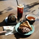 용문 애견 이미지